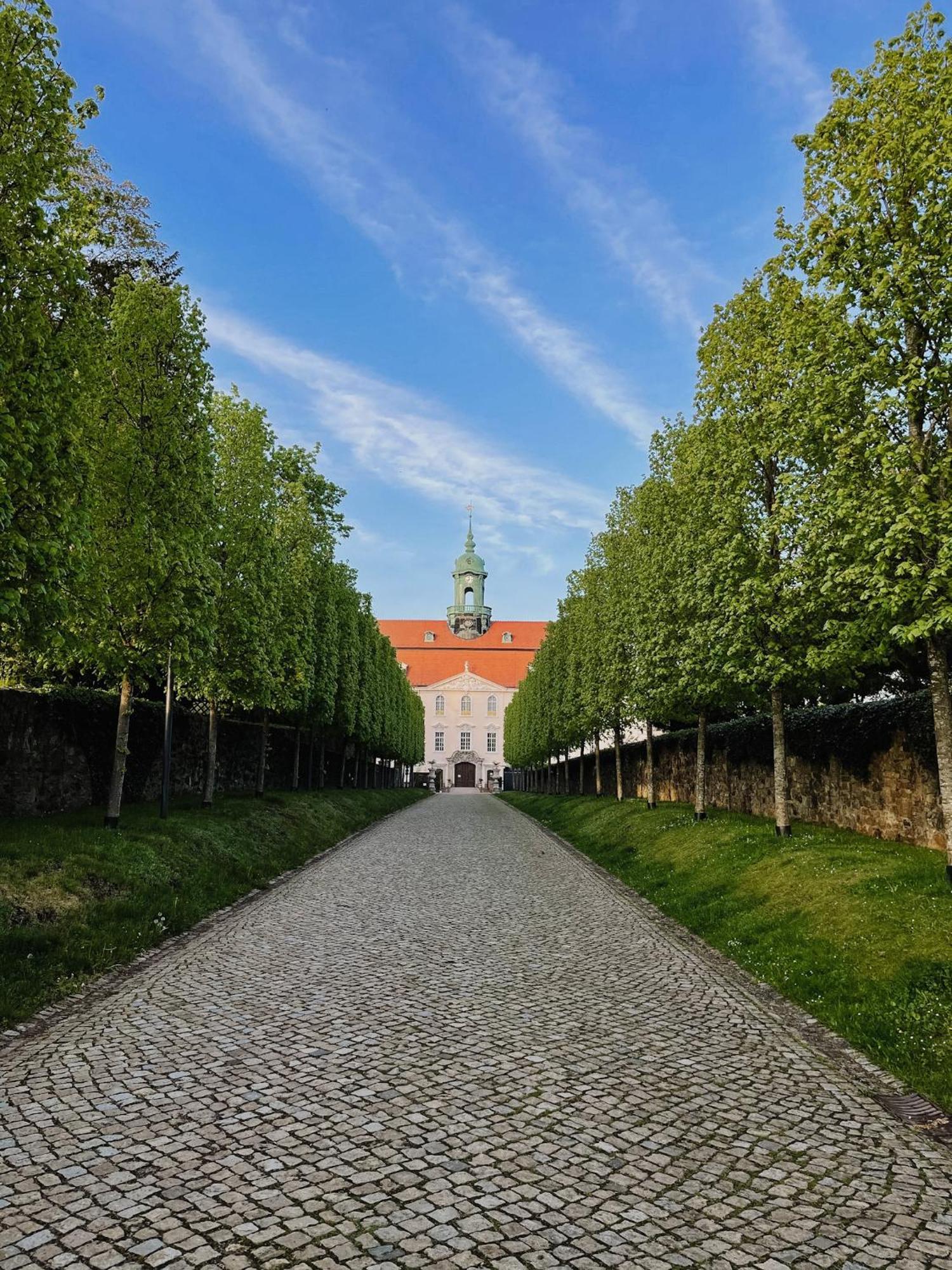 Ferienwohnung Tilda Lichtenwalde Exteriör bild